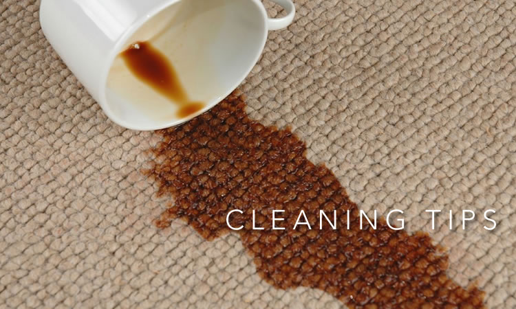 Area Rug Cleaners, Oriental Carpet Cleaning