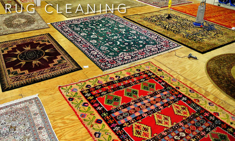 Area Rug Cleaners, Oriental Carpet Cleaning